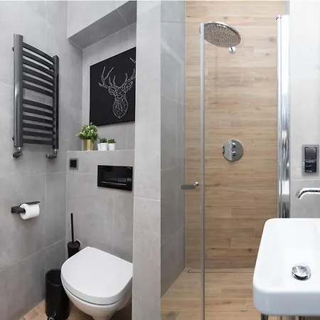 Erasmus Student - Old Town