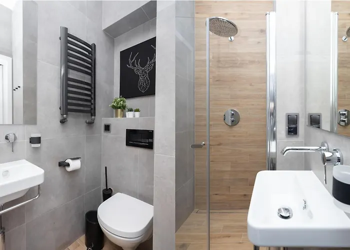 Erasmus Student - Old Town