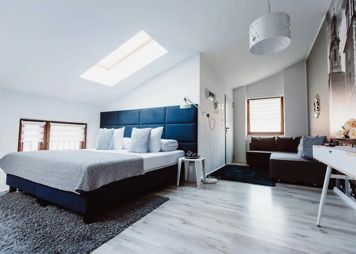 Erasmus Student - Old Town Daire Krakow