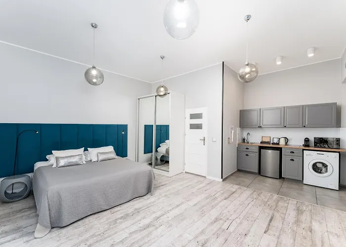 Erasmus Student - Old Town Krakow